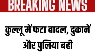 हिमाचल ब्रेकिंग: कुल्लू में बादल फटने से मची तबाही, दुकानें और पुलिया बह गई